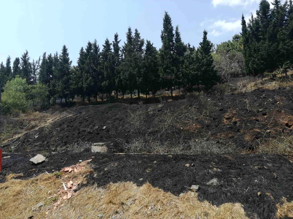 Sancaktepe’de Ormanlık Alanda Yangın Çıktı
