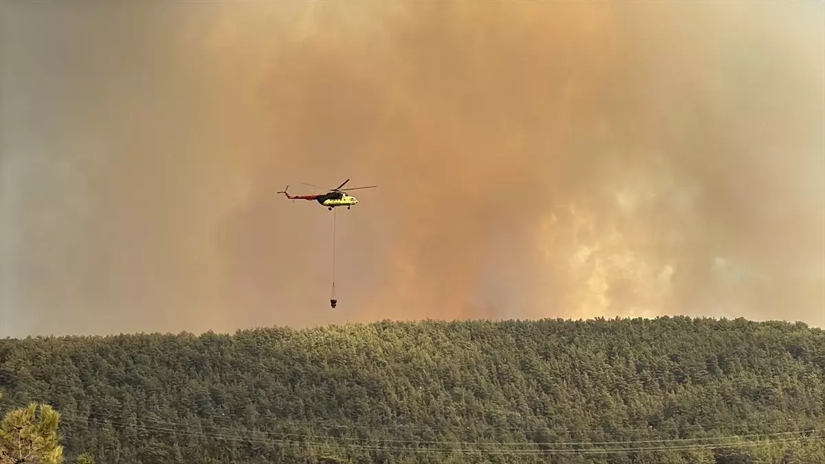 alanyada orman yangini mahalle bosaltildi vEkxLQmO