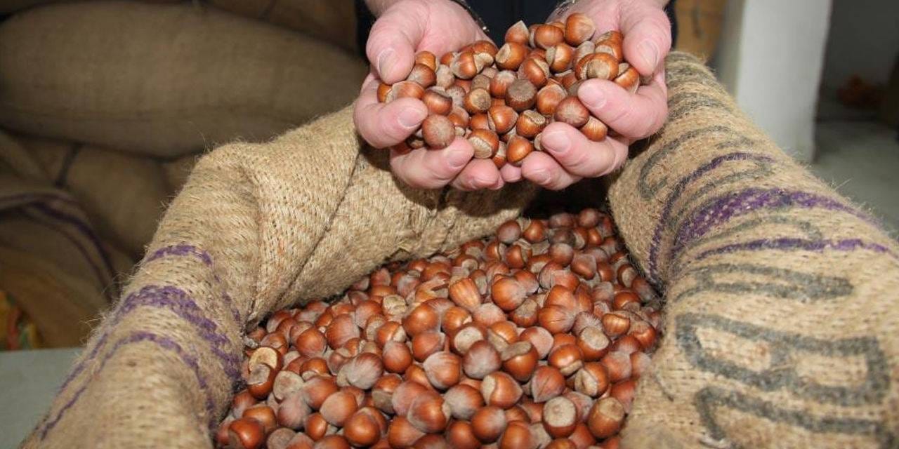 findiktan 1 milyar 610 milyon 163 bin gelir jW6MvvHP.jpg