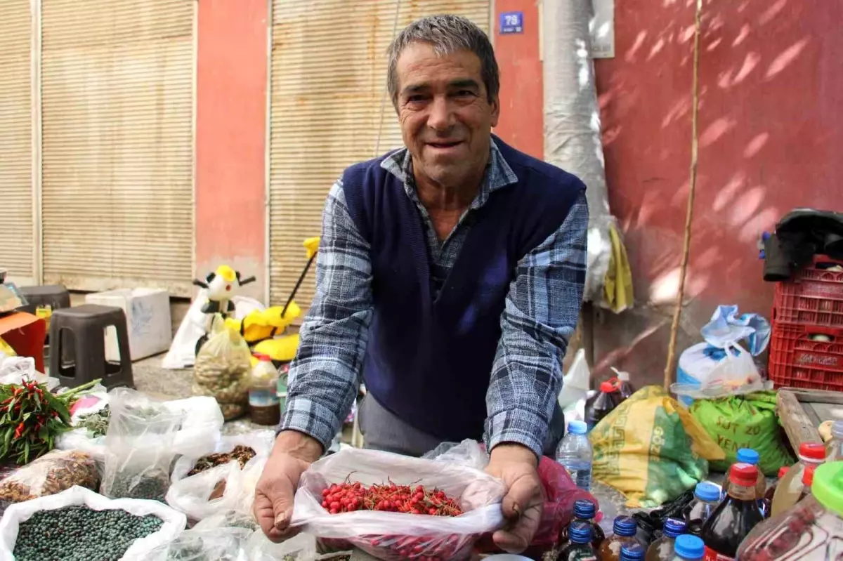 kizilcik mevsimi basladi F17xhlI9.jpg