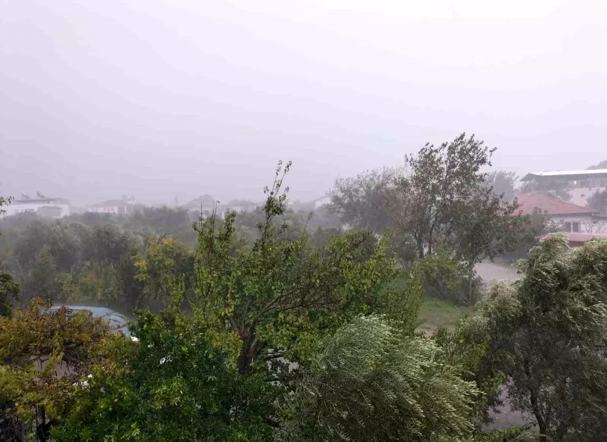 koycegizde firtina ve saganak yagis etkili oldu yA9p9i21.jpg