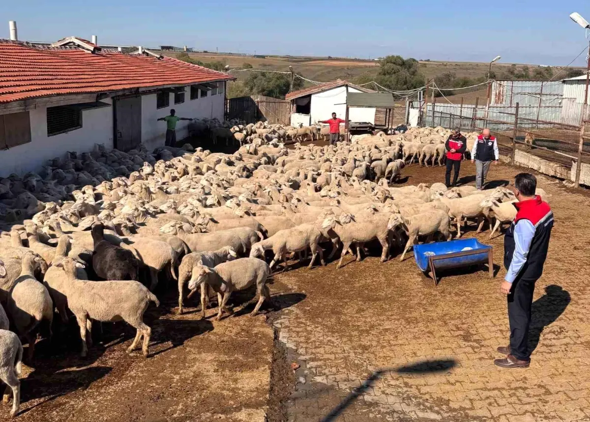 tekirdag tarim ve orman il muduru ciftcileri ziyaret etti SxDc9X6f.jpg
