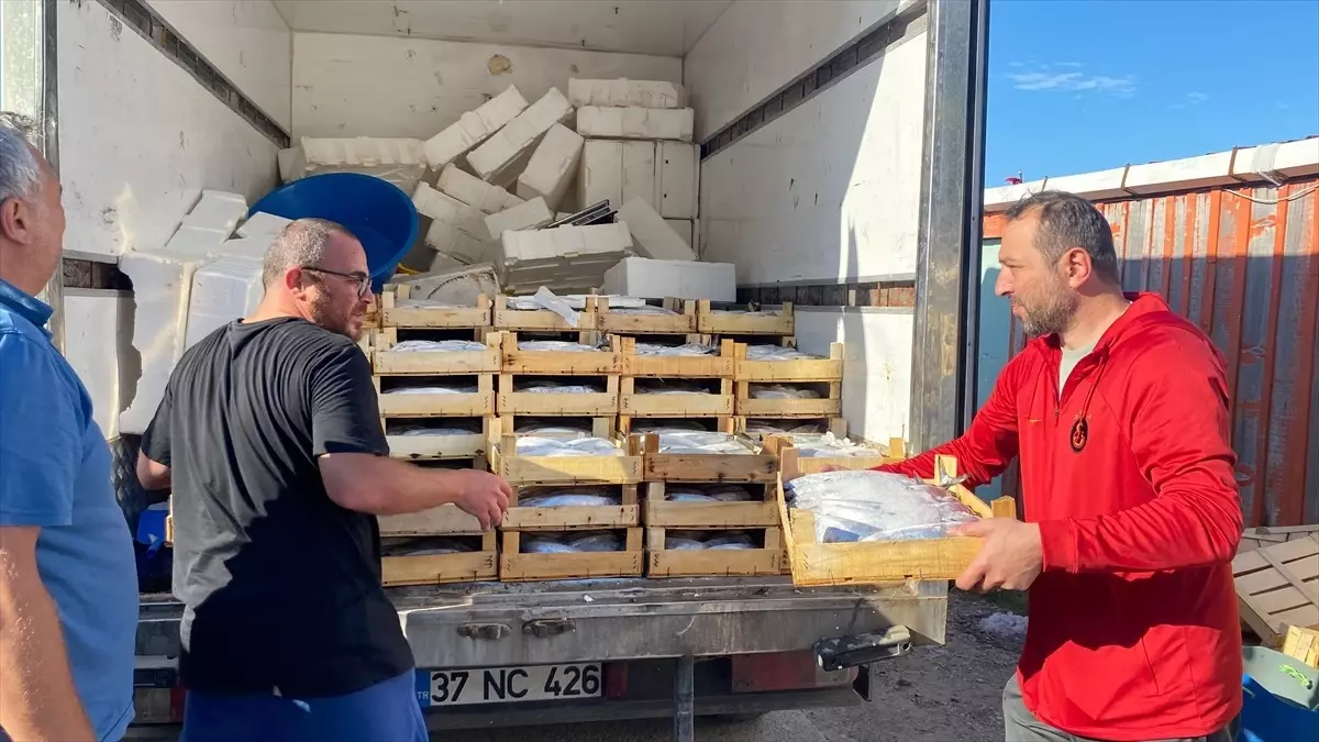 turkelide ilk palamut avi MmDWMTen