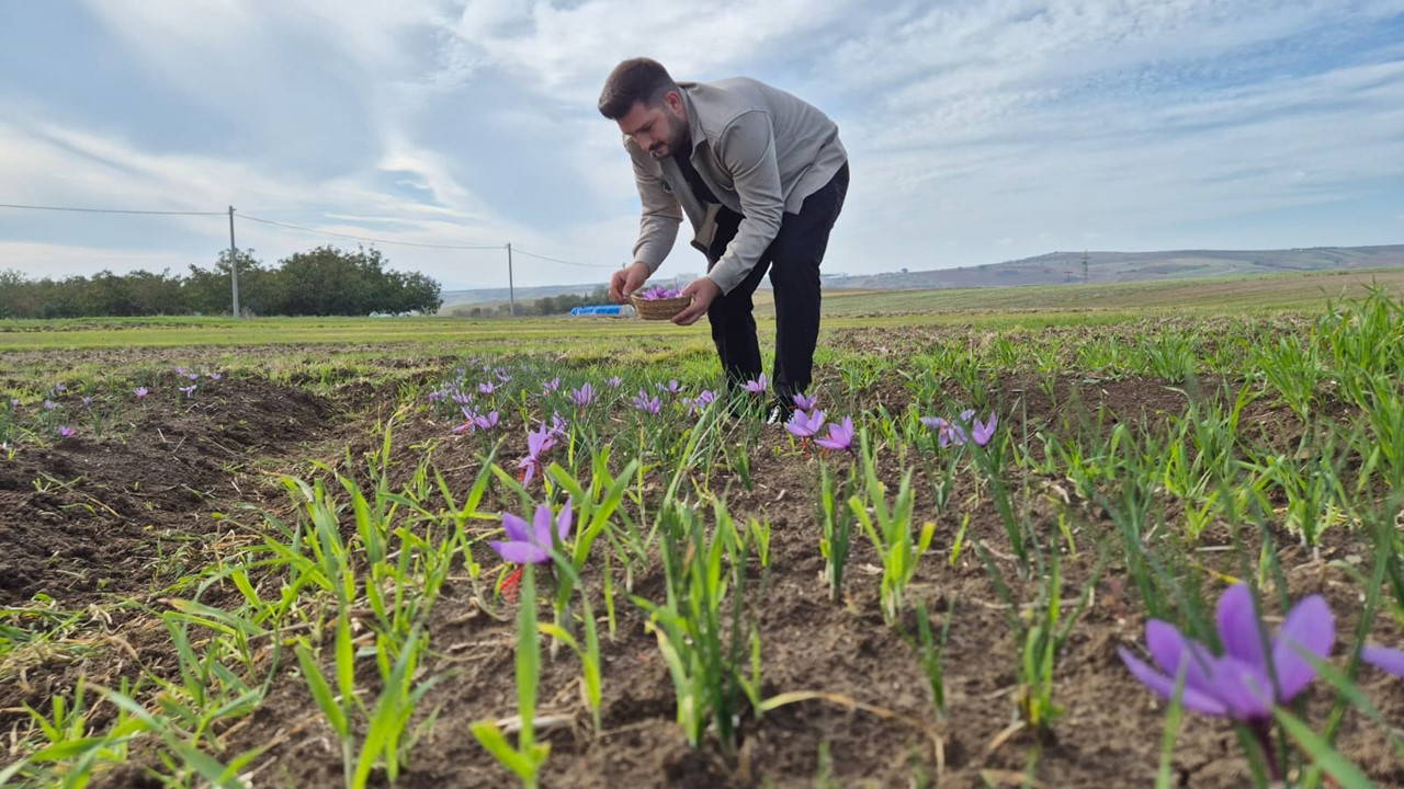 bir cicekten 3 tel cikiyor kilosu 600 bin lira 7dDuUhGX.jpg