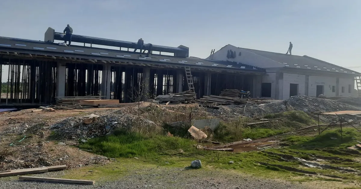 izmitten sokak hayvanlarina modern yasam alani wzYTiYb2.webp