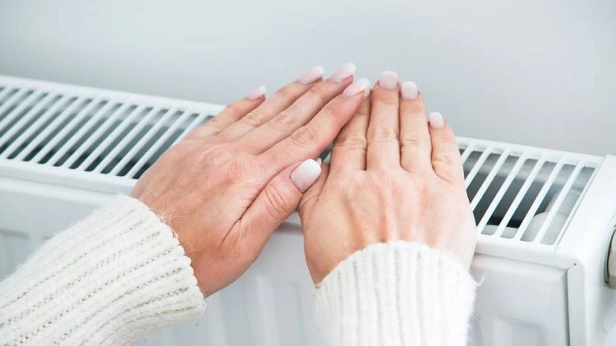 norvecliler kisin boyle isiniyor ne dogalgaz ne elektrik vNEvDfkP.jpg