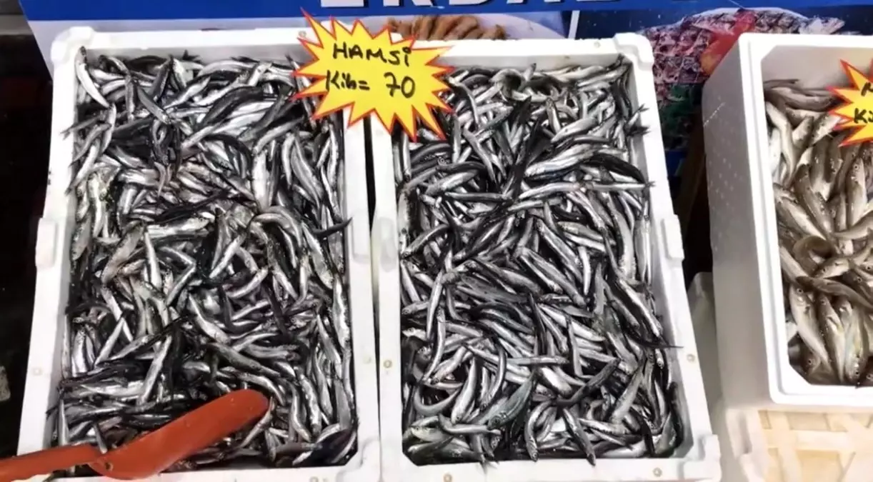 taze balik tuketin uyarisi Jl3QFrBH.jpg