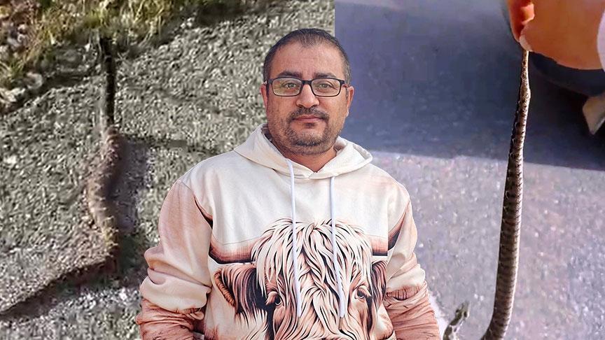 yer kutahya zehirli engerekle olum dansi ben bir delilik yaptim nI634EYS.jpg