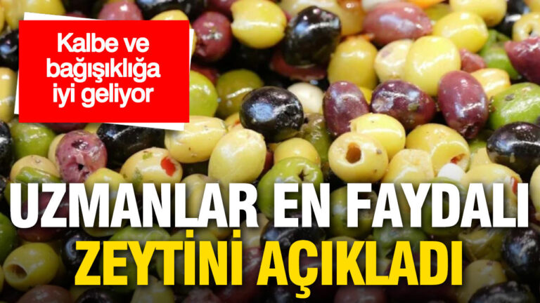 kalbe-ve-bagisikliga-iyi-geliyor-uzmanlar-en-faydali-zeytini-acikladi-INxx9wKe
